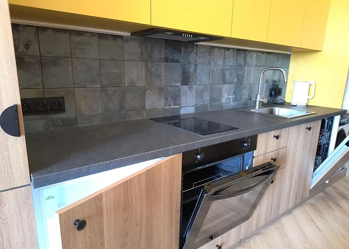 Rooftop Terrace, 24h Security, Centre And A View Of The Historic Shipyard Gdańsk